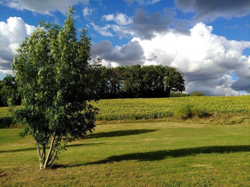Laborde Neuve Gite Accommodation Montcuq France - http://www.labordeneuvegite.com