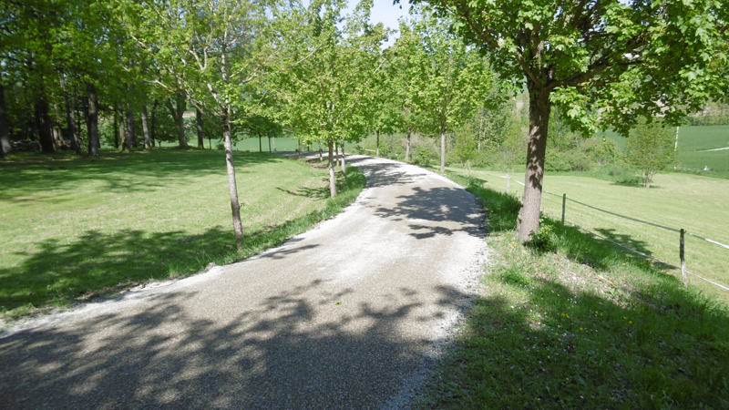 http://www.labordeneuvegite.com-Welcome to Laborde Neuve a 200 year old farmhouse tucked away in the Quercy Blanc area of the Lot in the South West of France. Located in beautiful countryside, the house lies near Montcuq on the Lot and Tarn et Garonne border. It is newly renovated to a high standard with all modern conveniences for 21st century living. Set in over 6 acres of maintained parkland, this is a nature lover’s paradise and the ideal place for a relaxing holiday.