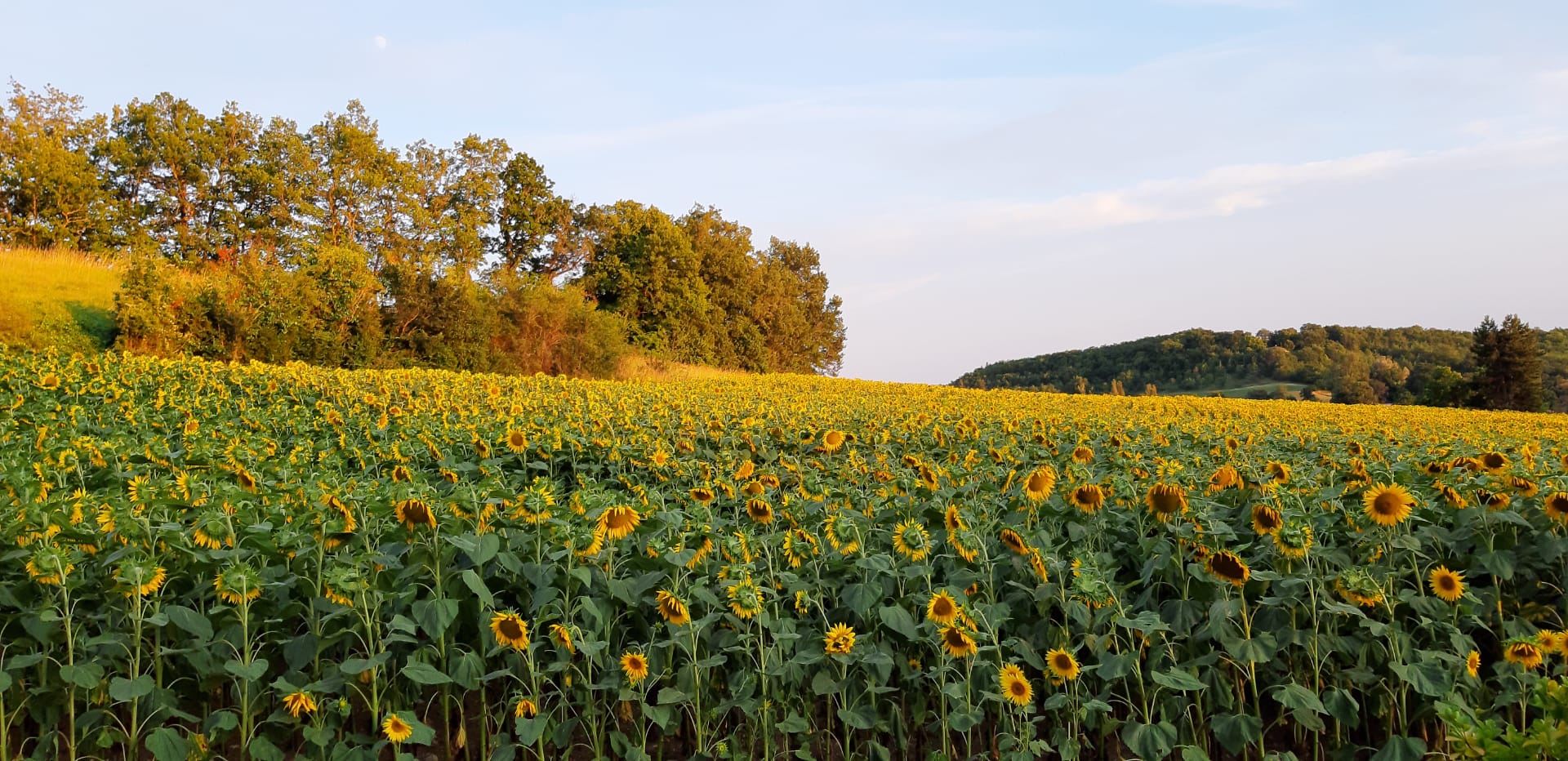 Laborde Neuve Gite Accommodation Montcuq France - http://www.labordeneuvegite.com